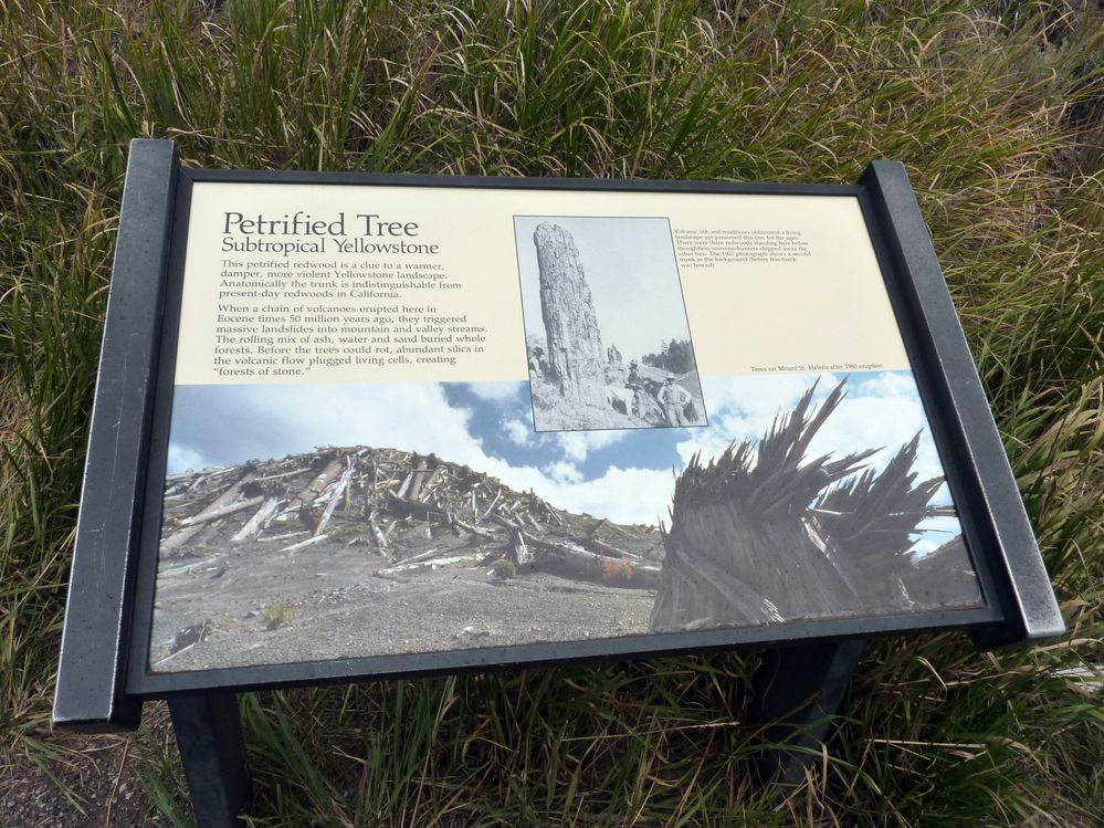 Yellowstone Tower Roosevelt (42).JPG
